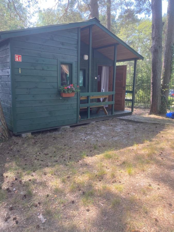 Domki Szumi Las Mrzezyno Exterior photo
